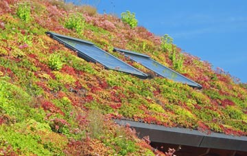 Knockmill living roof systems